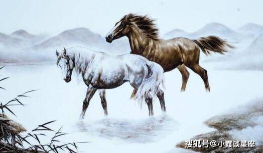 四不两立长恨丽打一正确生肖详细解答、实证解答解释落实