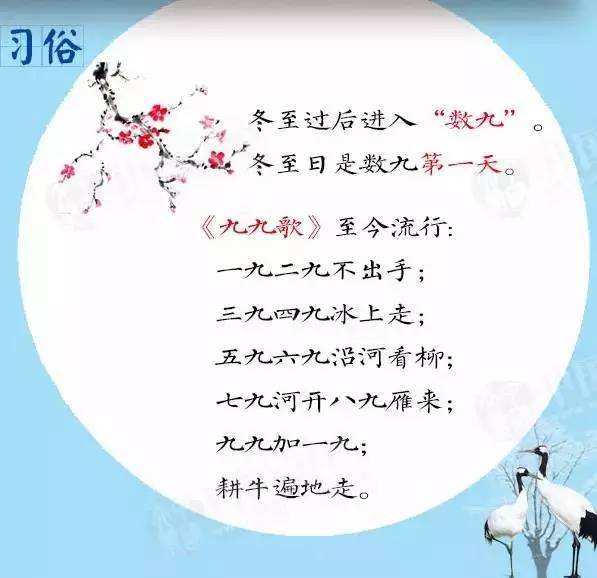 二九分开取一个,头奖二三不分离昰什么生肖,警惕虚假宣传-全面释义、解释与落实、深度解答解释落实