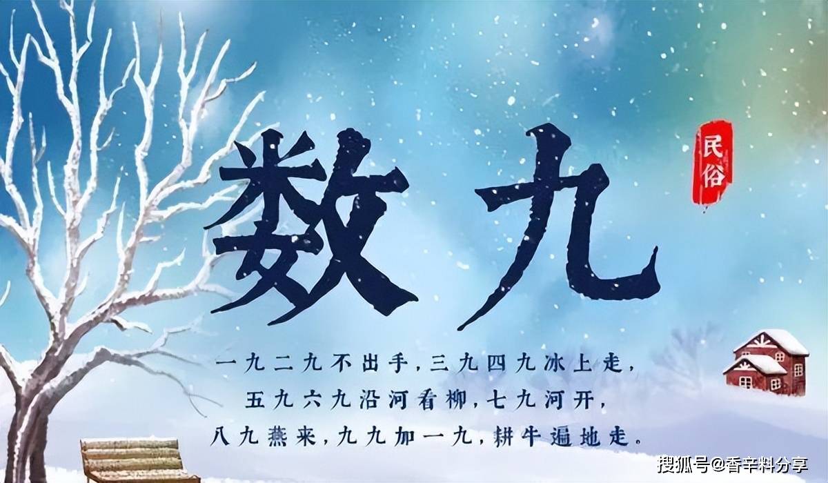 二九分开取一个,头奖二三不分离昰什么生肖,警惕虚假宣传-全面释义、解释与落实、深度解答解释落实