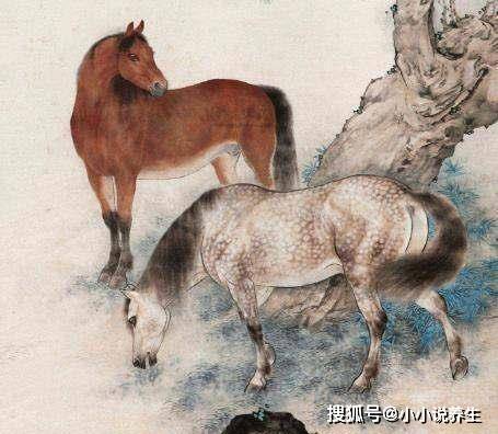 四不两立长恨丽打一正确生肖详细解答、实证解答解释落实