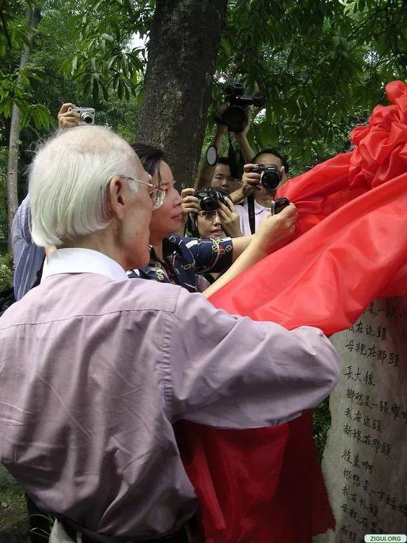 前欢往恨分明在,酒兴诗情大半亡打一生肖，详细解答、定量解答解释落实