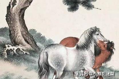 四不两立长恨丽打一正确生肖详细解答、实证解答解释落实